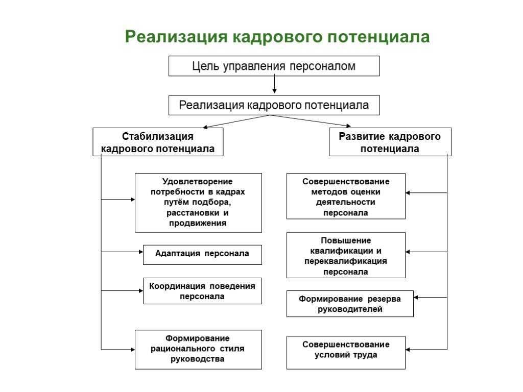 Внутрифирменное обучение как технология развития кадрового потенциала организации