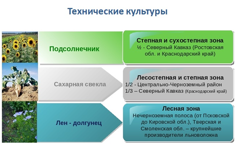 Базы распределения общих прямых затрат, учитываемых на счете 20 (23) в 1с