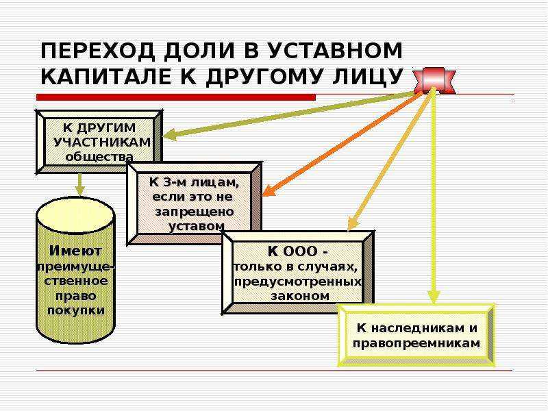 Ответственность учредителя за деятельность ооо
