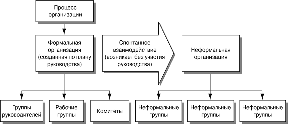 Формальные отношения в организации: определение, роль и примеры