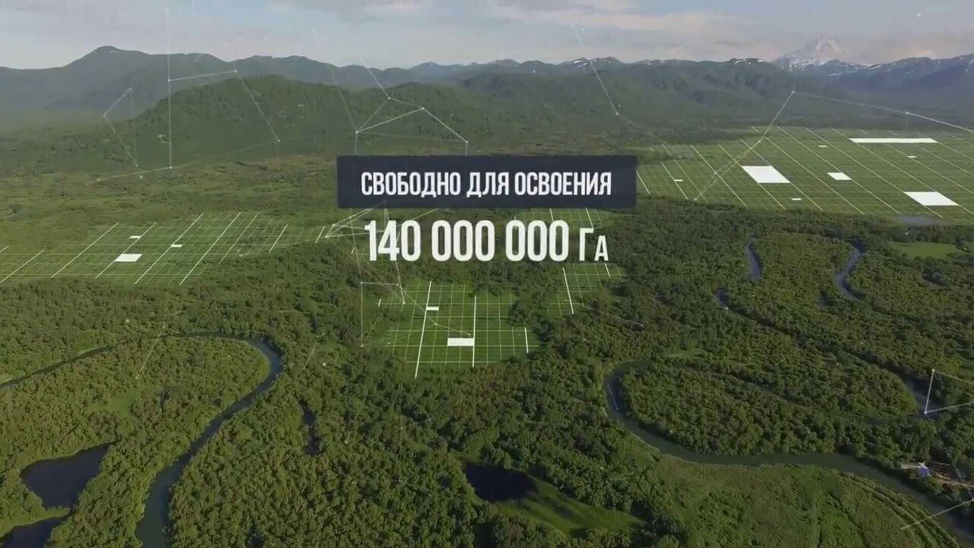 Осваивать по-человечески. истории людей, взявших дальневосточный гектар | общество | аиф владивосток