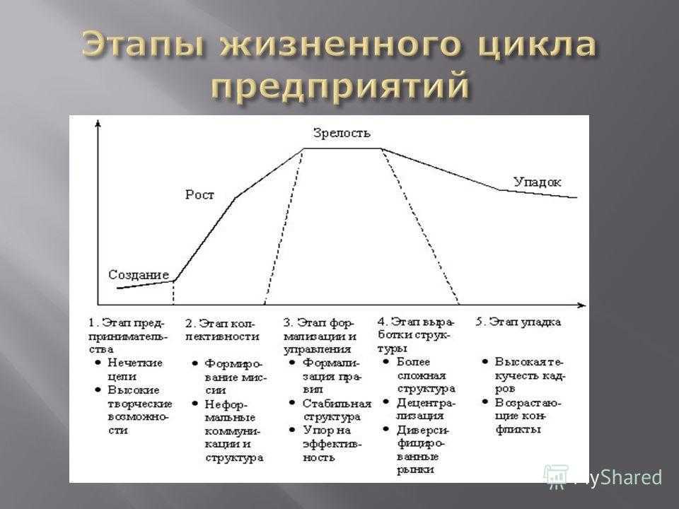 Жизненный цикл предприятия