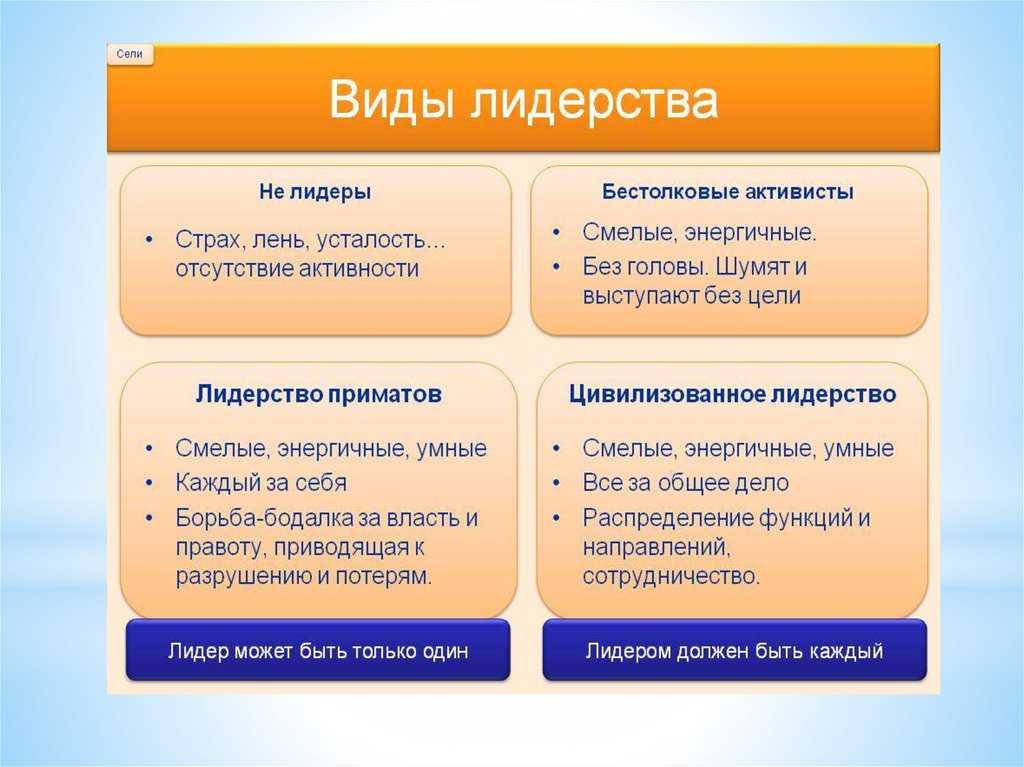 Виды и стили лидерства