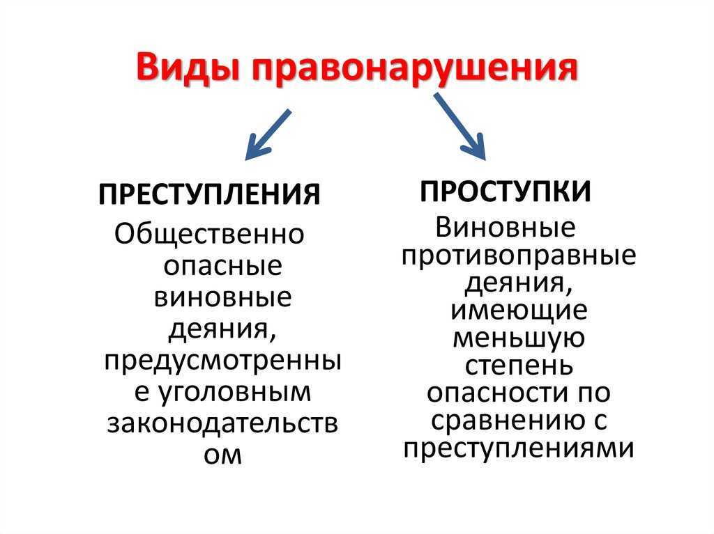 За что вас могут оштрафовать в разных странах мира: список примеров с фото
