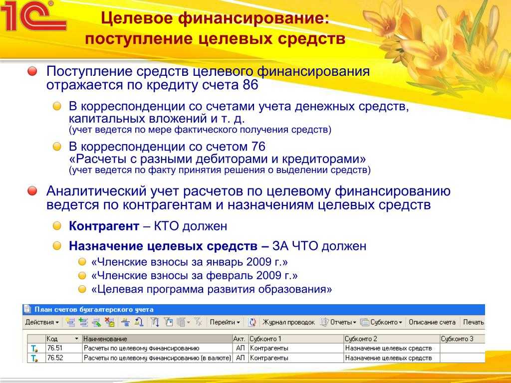 Бухгалтерский учет в нко: сложности и особенности – блог компании «бухгалтер.рф»