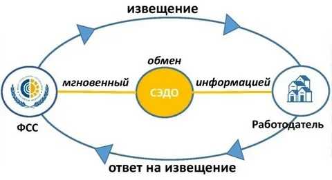 Как через 1с получить извещение от фсс о представлении недостающих документов | алматы казахстан