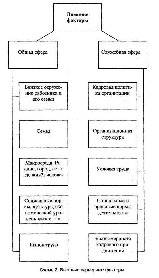 Факторы, влияющие на успешность карьеры - mentamore