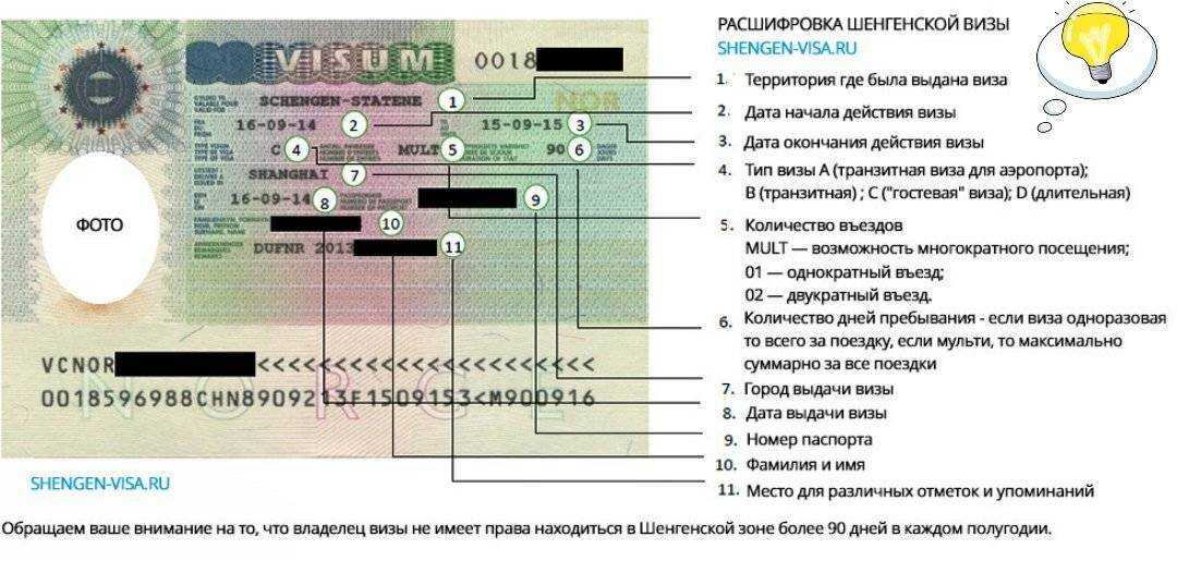 Бизнес виза в россию: особенности, документы, инструкции, этапы