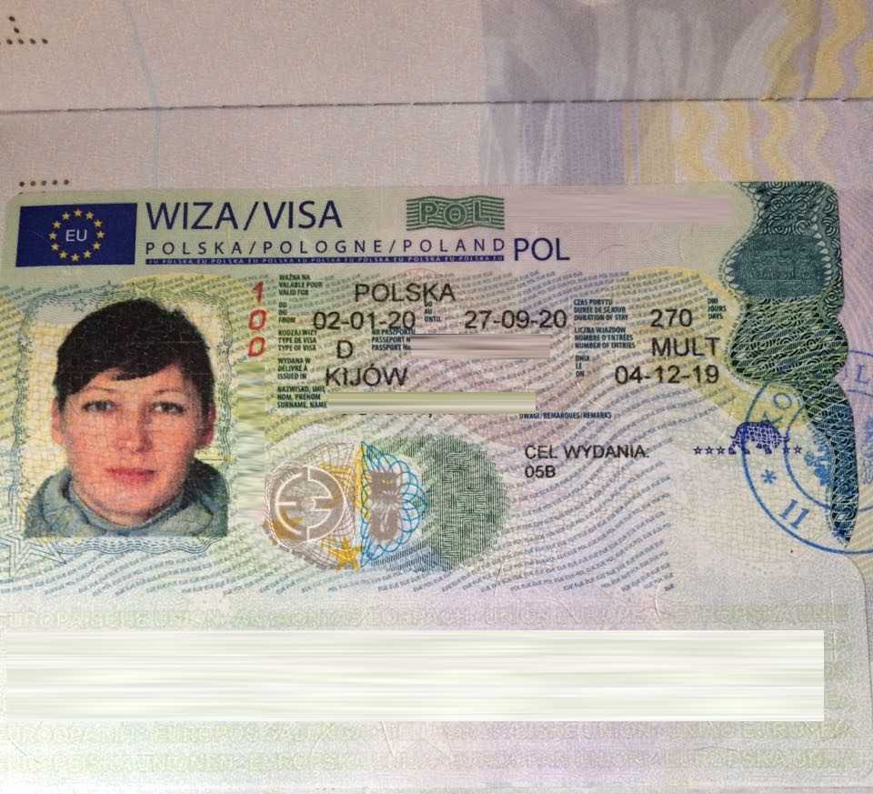 Рабочая виза в 2023 года: как получить рабочую визу