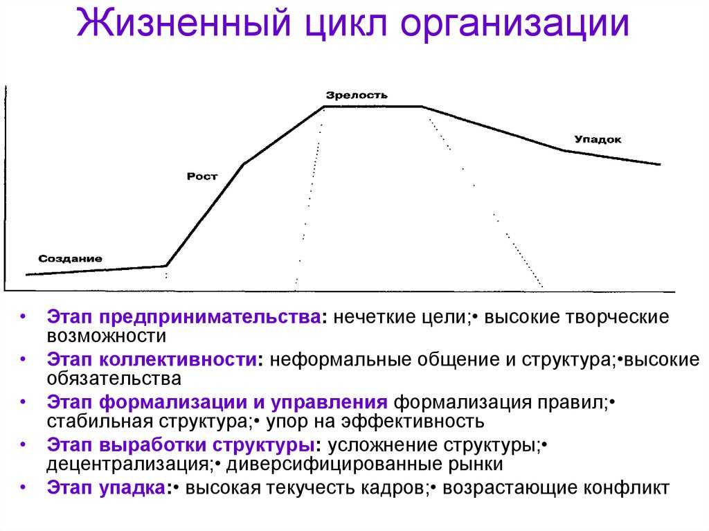 Жизненный цикл организации