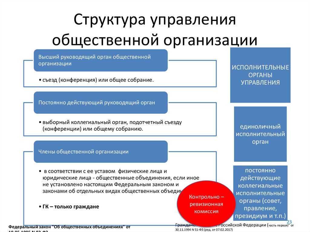 Устав общественной организации (общероссийской) - бланк образец 2024