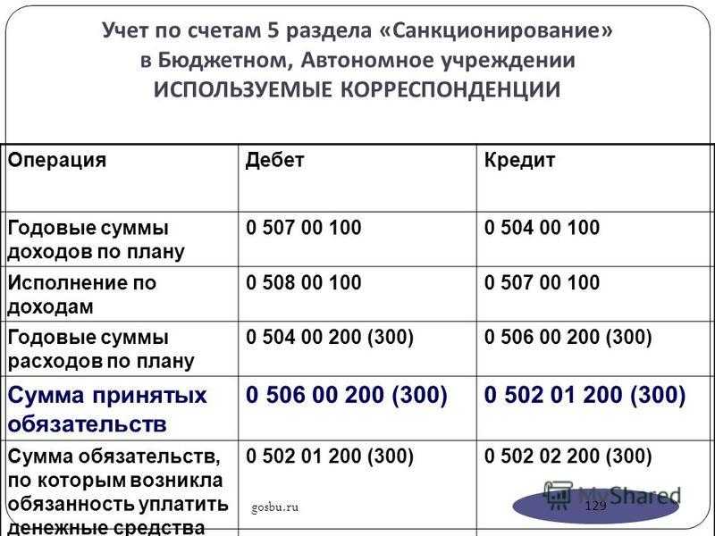 Как бюджетному учреждению правильно относить расходы, осуществляемые за счет средств субсидии, если организация не ведет приносящую доход деятельность. как вести учет доходов и расходов в бюджетном учреждении расходы по счету 109