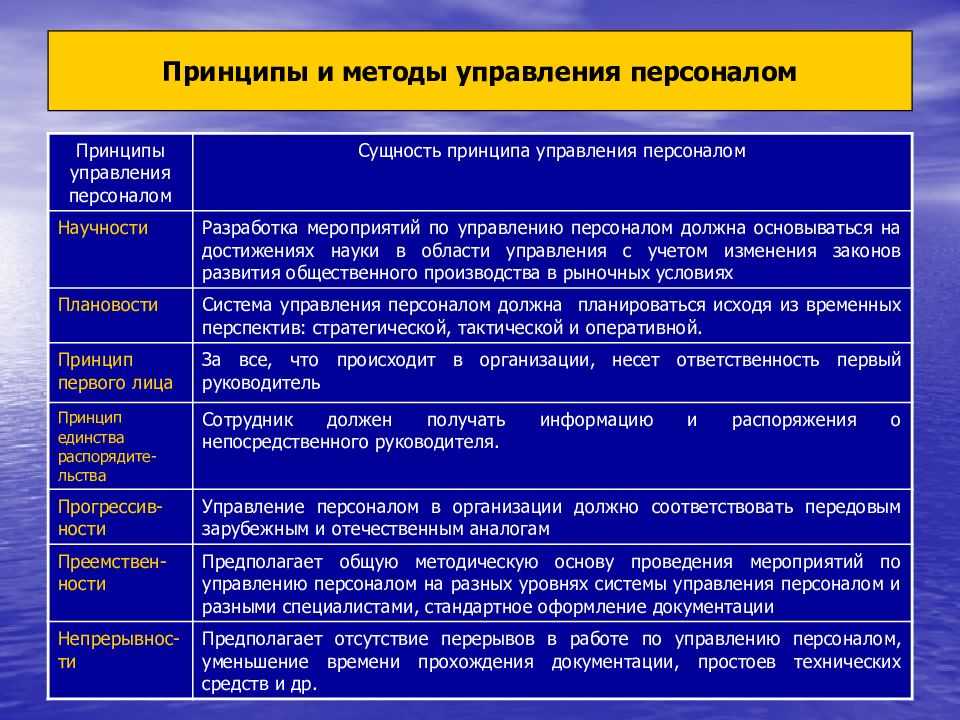 Оценка персонала методом 360 градусов: цели, методы, примеры