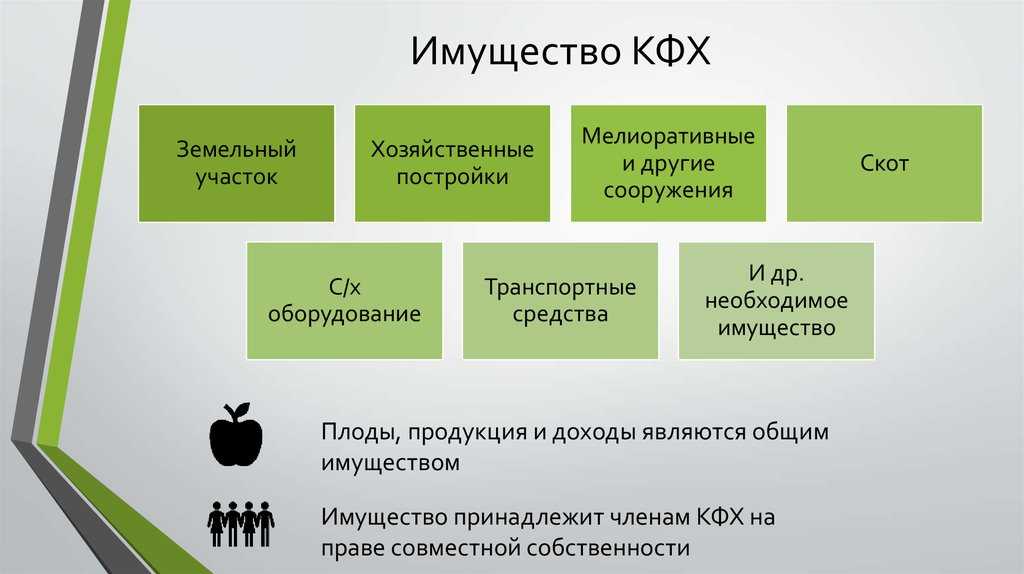 Как ип перерегистрировать в кфх