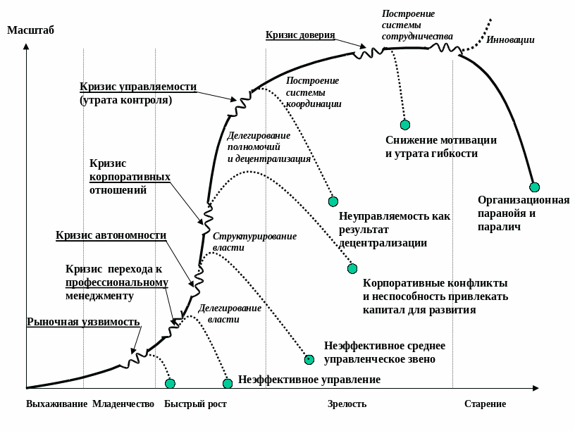 Зачем знать возраст компании: все о жизненном цикле