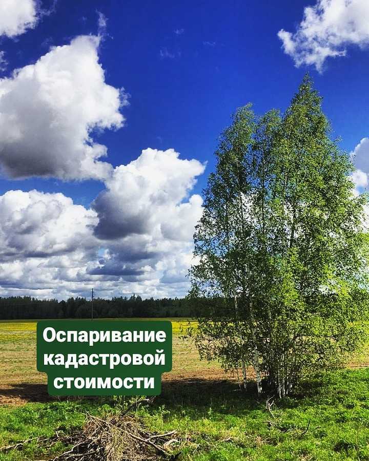 Оспариваем кадастровую стоимость недвижимости для уменьшения налога