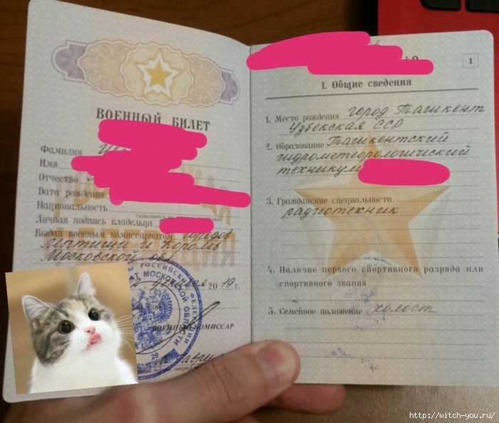 Обязательно ли становиться на воинский учет при получении гражданства рф? | администрация богучанского сельсовета