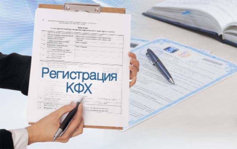 Ип глава кфх: что такое крестьянско-фермерское хозяйство и его регистрация