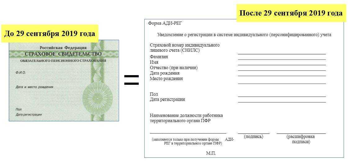 Как получить снилс ребенку иностранному гражданину?