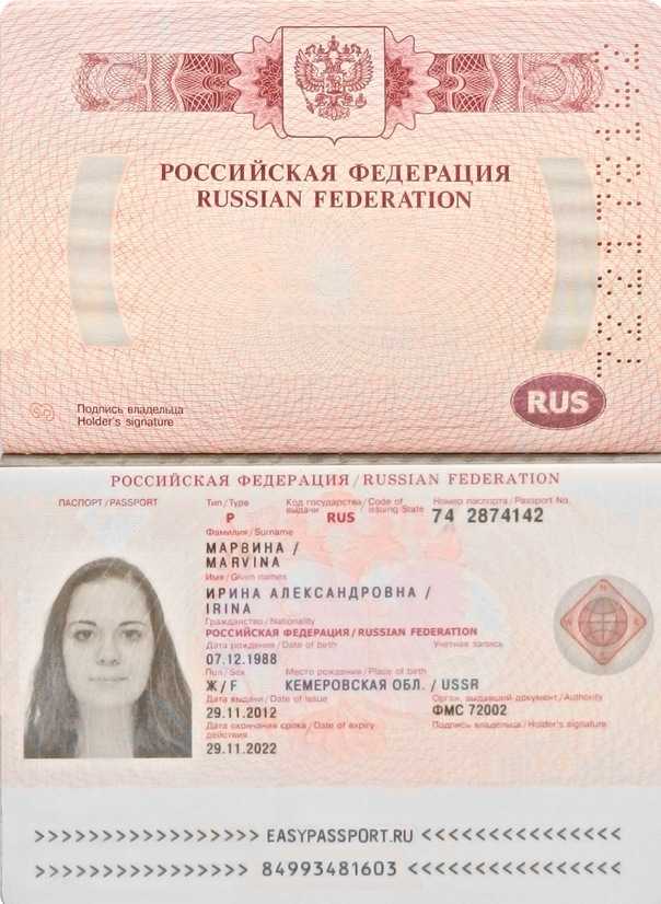 Можно ли принять на работу по загранпаспорту: особенности трудоустройства и правовая сторона