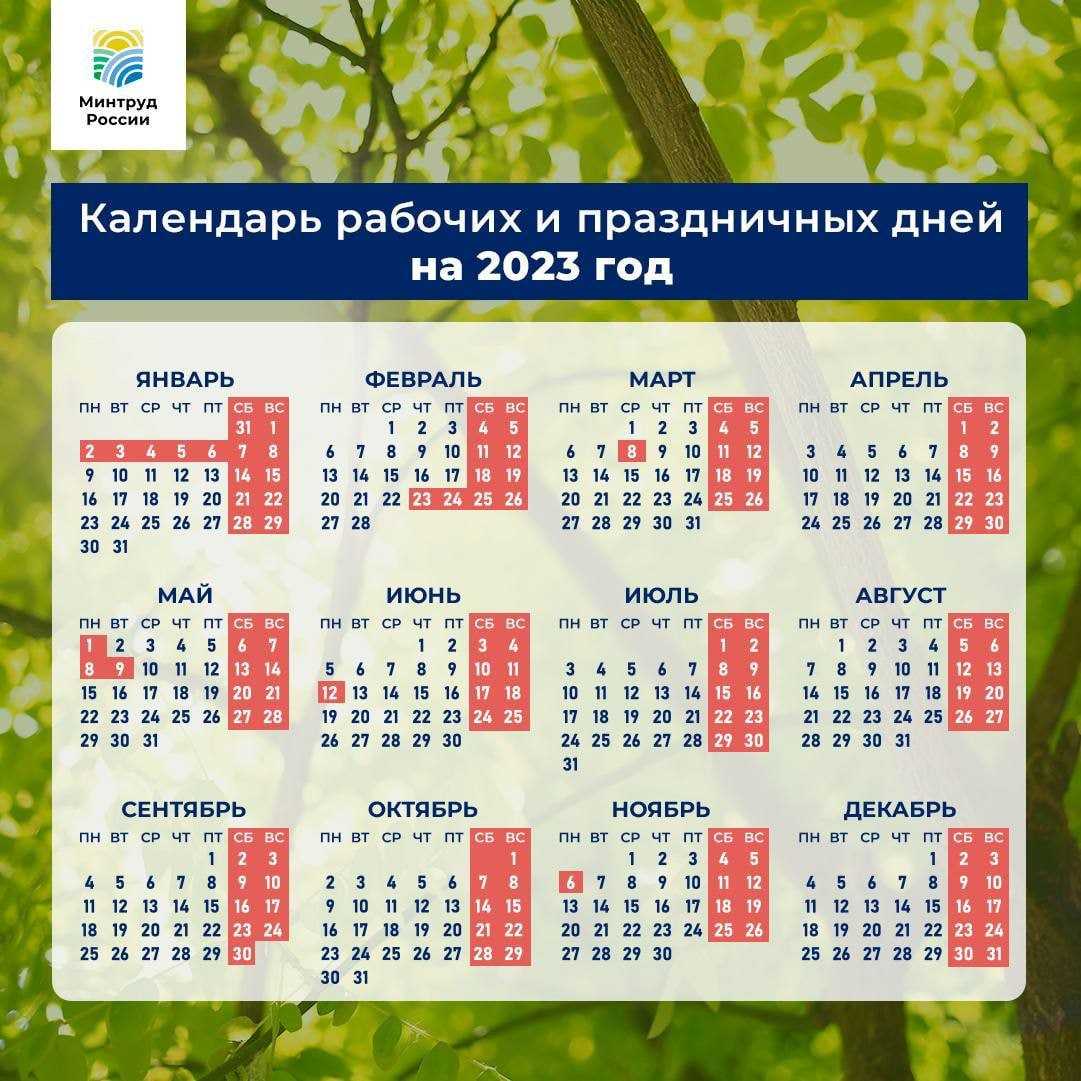 График выходных на 2024 год в россии