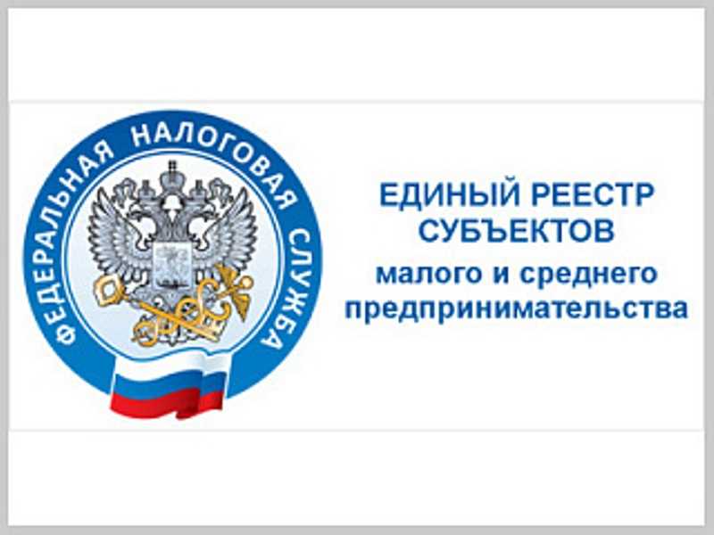Зачем реестр субъектов малого и среднего предпринимательства ?