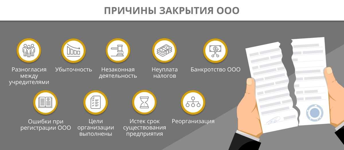 Что делать с документами при ликвидации компании. ликвидация организации: что делать с кадровыми документами ликвидатор не хранит документы ответственность