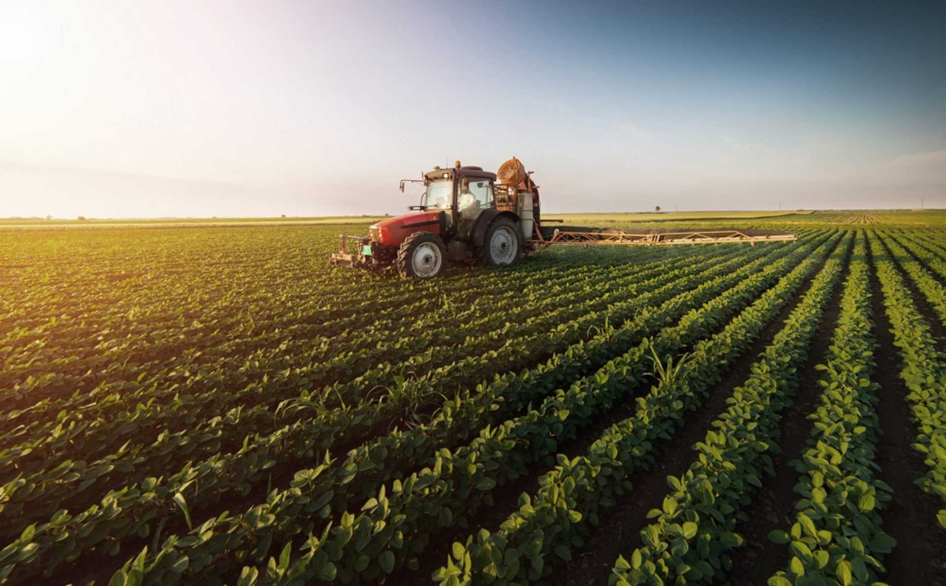 Способы переработки сельскохозяйственной продукции кратко